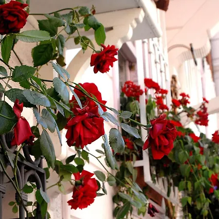 Darussaade Hotel Old City - Sultanahmet-3