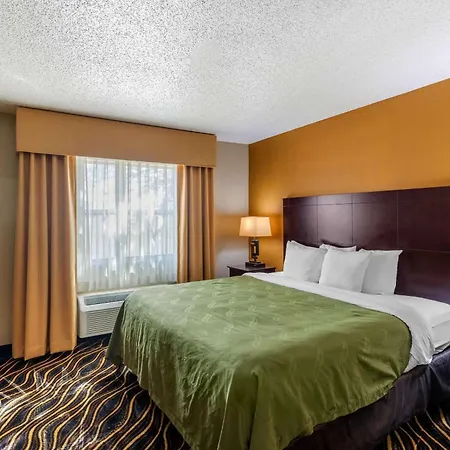 Quality Suites Addison-Dallas-3
