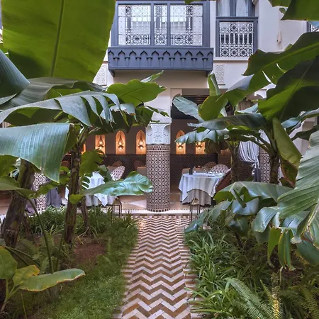 Riad Kheirredine-2