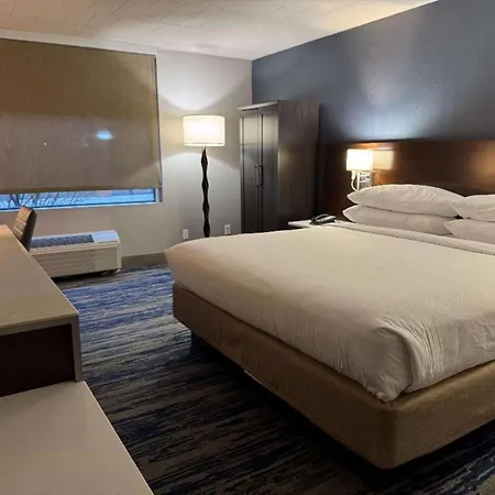 Skyline Hotel Detroit Airport, Surestay Collection By BW-3