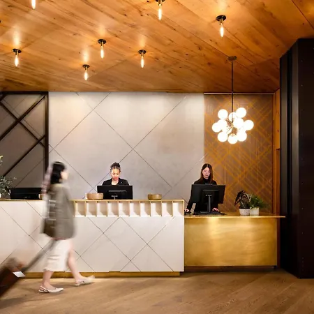 Arlo Chicago-2