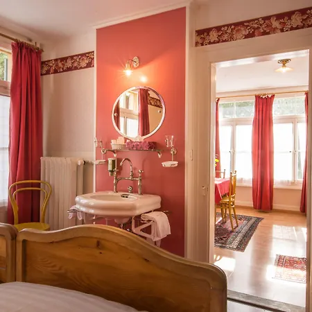 Historic Hotel Falken-2