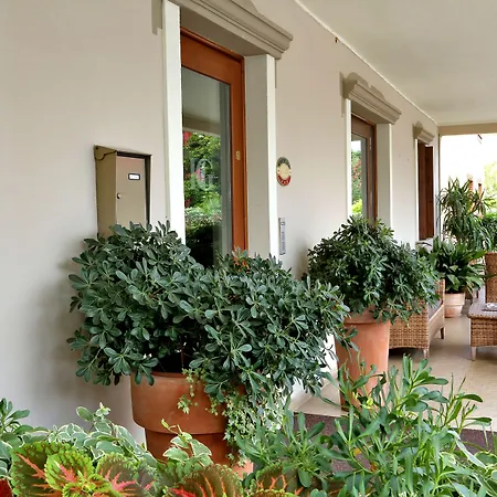 Hotel Garden-2