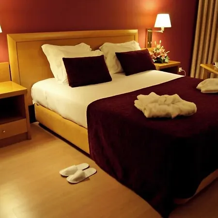 Palace Hotel e SPA Monte Rio-2