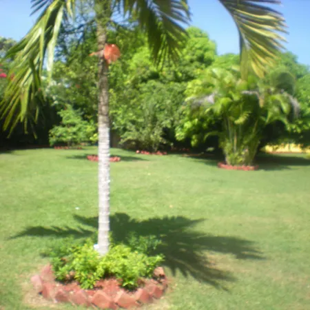 Villa Sonate-2