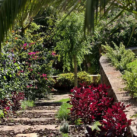 Casa Vela Boutique House & Spa-2