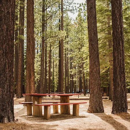 Tahoe Valley Campground-3