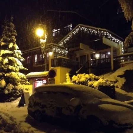 Chalet Hotel Rhododendrons-2