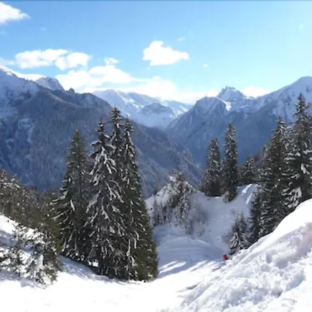 Chalet Hotel Rhododendrons-3
