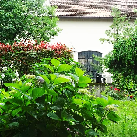Victoria Royal Garden-3