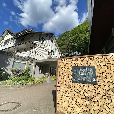 Harz Hotel&Spa Seela-2