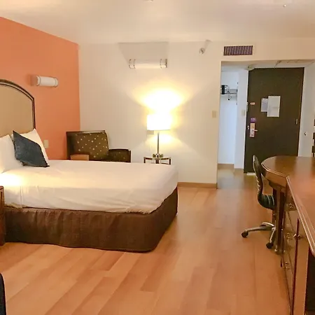 7 Boutique Hotel-3