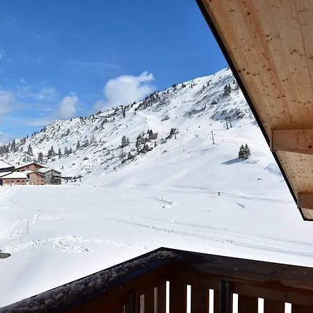 Apart-Wolf-Arlberg-2
