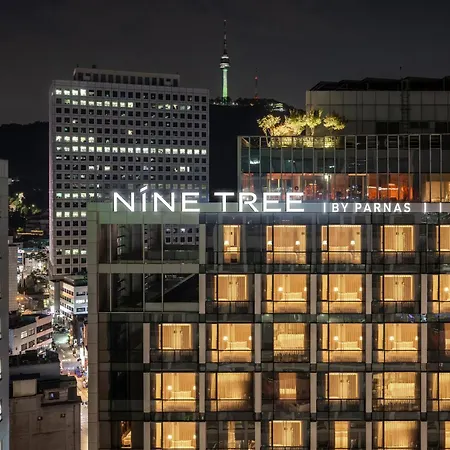 Nine Tree By Parnas Seoul Myeongdong 2-3