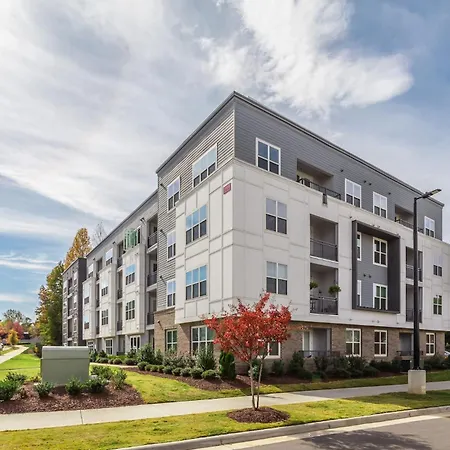 Kasa Freemorewest Charlotte-2