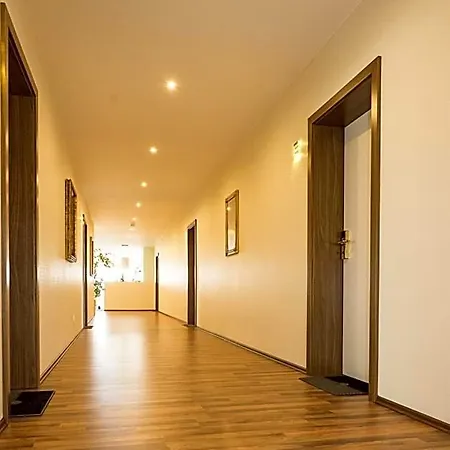 Hotel Viola-3
