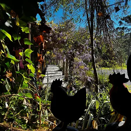 Pousada Jardim do Buda com Café e Piscina-2