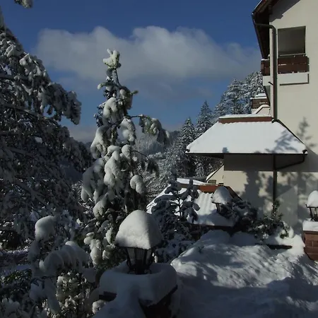 Waldhotel Post-2