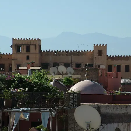 Riad Timila-2