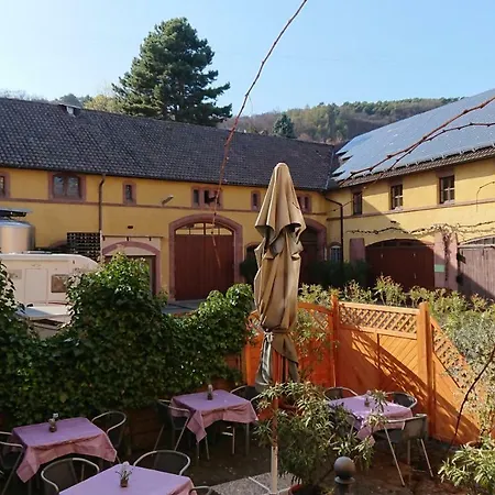 Hotel Restaurant Hambacher WInzer-2