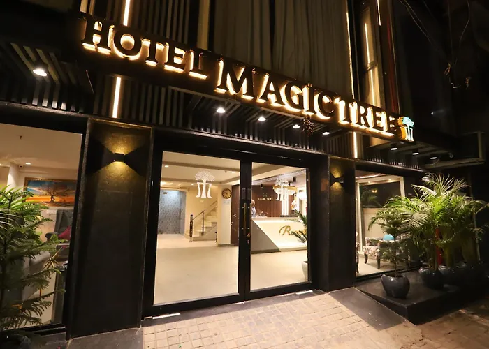 Hotel The Magic Tree - Paharganj Nuova Delhi
