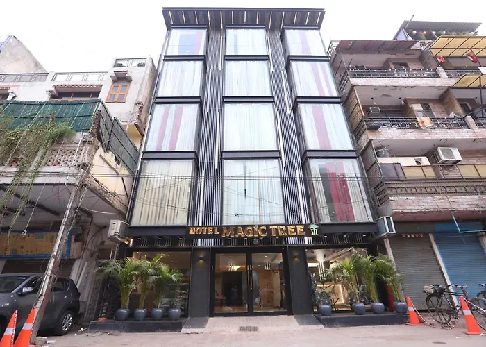 Hotel The Magic Tree - Paharganj Nuova Delhi
