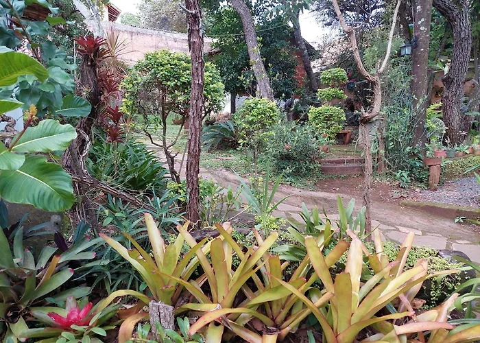 Pousada Bangalôs Cipó