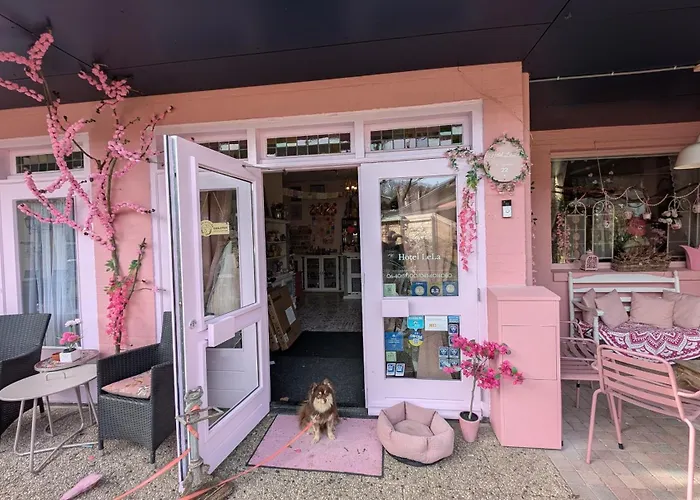 Pink Hotel B&B Lela
