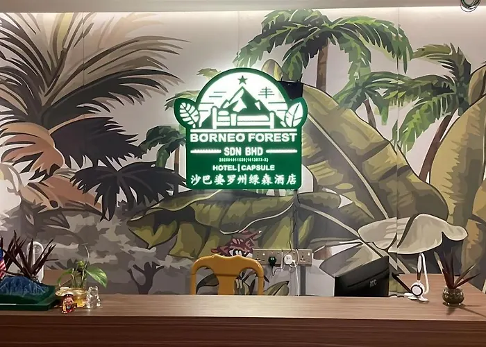 Borneo Forest Hotel