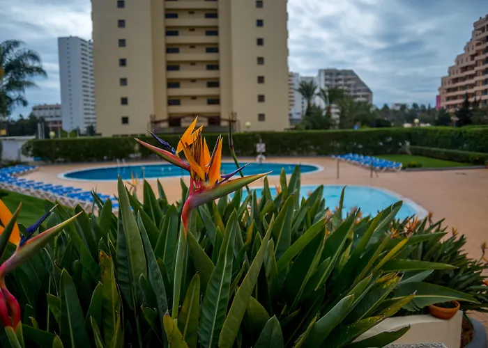 Flor Da Rocha