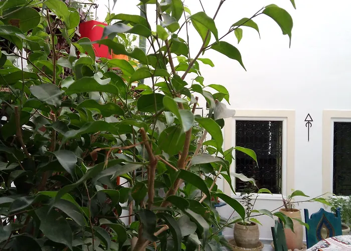 El Patio Courtyard House