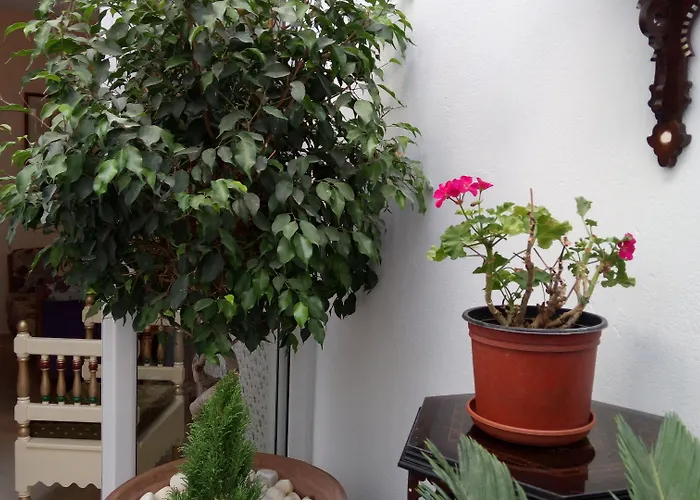 El Patio Courtyard House