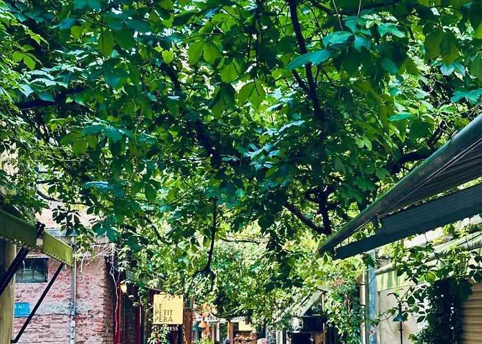 Casa Rosa Suites