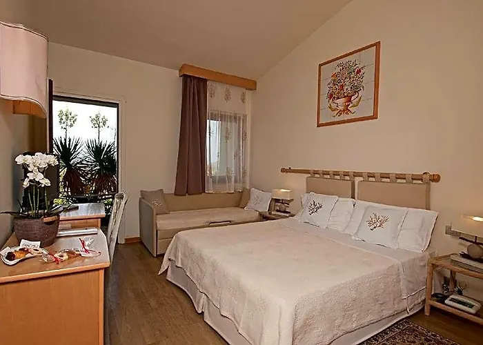 Amaregold Hotel Palau