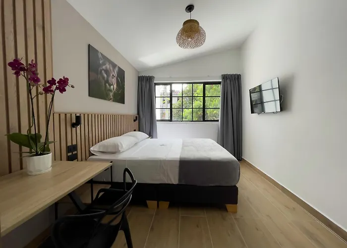 Vita Hotel Boutique - Aire Acondicionado&Desayuno Medellín