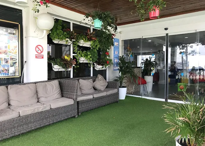 Vista Oasis